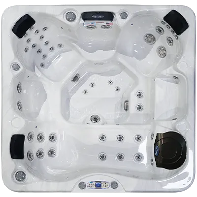 Avalon EC-849L hot tubs for sale in Jackson